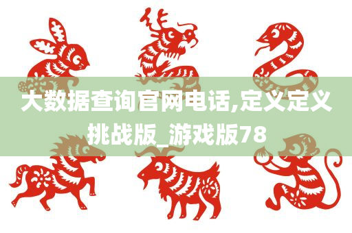 大数据查询官网电话,定义定义挑战版_游戏版78