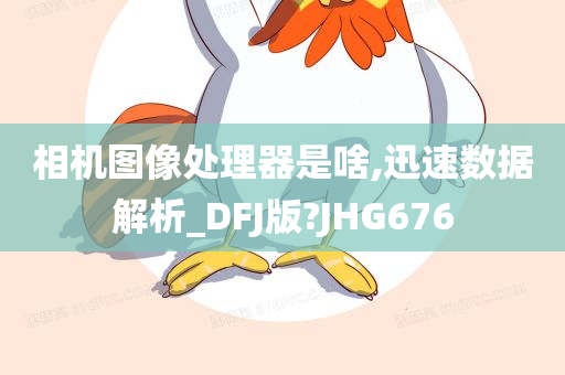 相机图像处理器是啥,迅速数据解析_DFJ版?JHG676