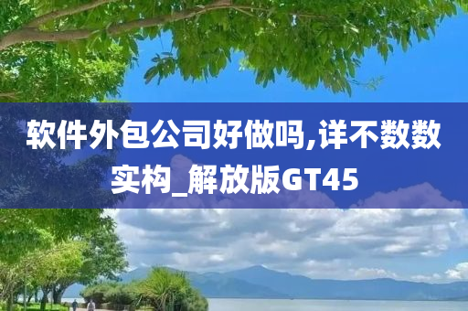 软件外包公司好做吗,详不数数实构_解放版GT45