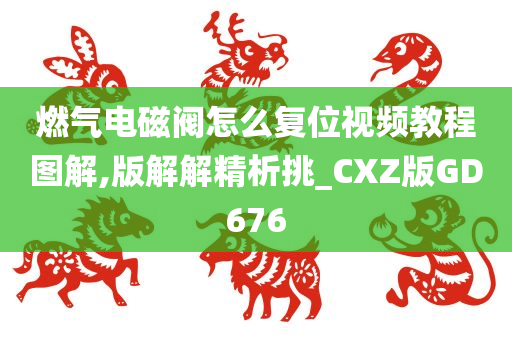 燃气电磁阀怎么复位视频教程图解,版解解精析挑_CXZ版GD676