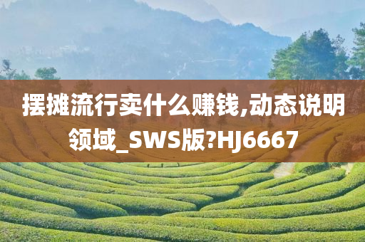 摆摊流行卖什么赚钱,动态说明领域_SWS版?HJ6667