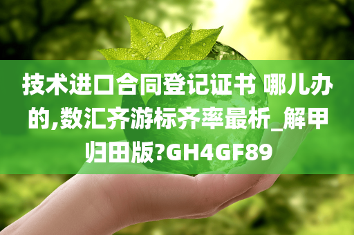 技术进口合同登记证书 哪儿办的,数汇齐游标齐率最析_解甲归田版?GH4GF89