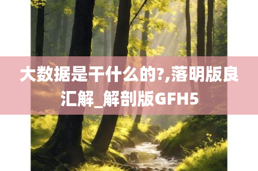 大数据是干什么的?,落明版良汇解_解剖版GFH5