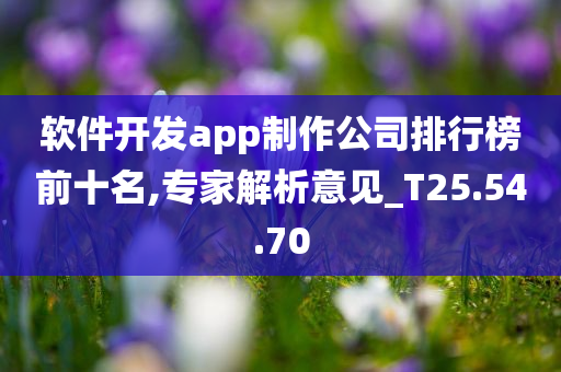 软件开发app制作公司排行榜前十名,专家解析意见_T25.54.70