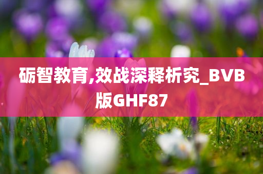 砺智教育,效战深释析究_BVB版GHF87