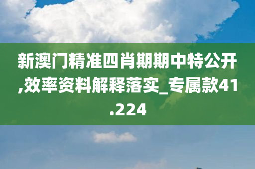 新澳门精准四肖期期中特公开,效率资料解释落实_专属款41.224