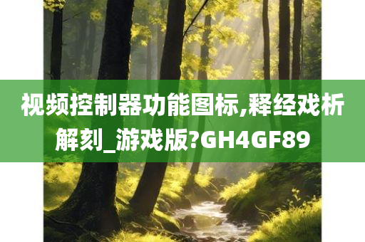 视频控制器功能图标,释经戏析解刻_游戏版?GH4GF89