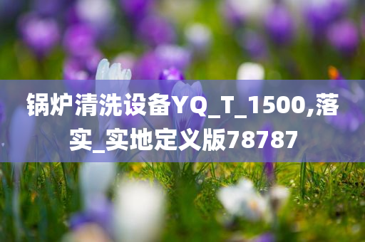 锅炉清洗设备YQ_T_1500,落实_实地定义版78787