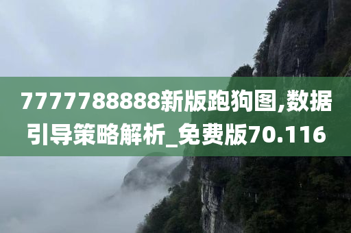 7777788888新版跑狗图,数据引导策略解析_免费版70.116