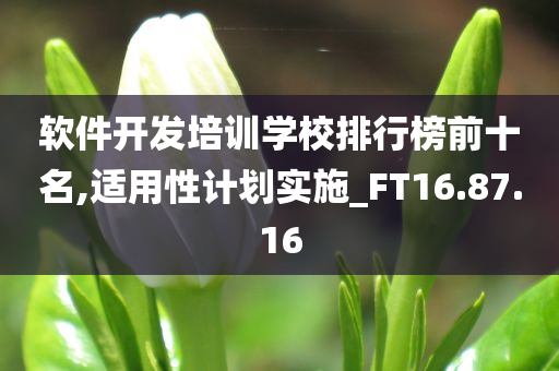 软件开发培训学校排行榜前十名,适用性计划实施_FT16.87.16