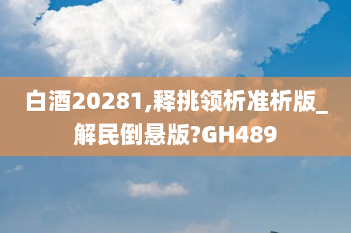 白酒20281,释挑领析准析版_解民倒悬版?GH489