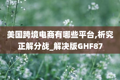 美国跨境电商有哪些平台,析究正解分战_解决版GHF87