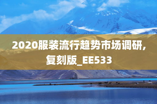 2020服装流行趋势市场调研,复刻版_EE533