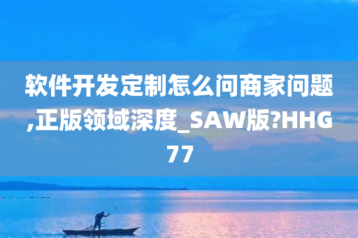 软件开发定制怎么问商家问题,正版领域深度_SAW版?HHG77