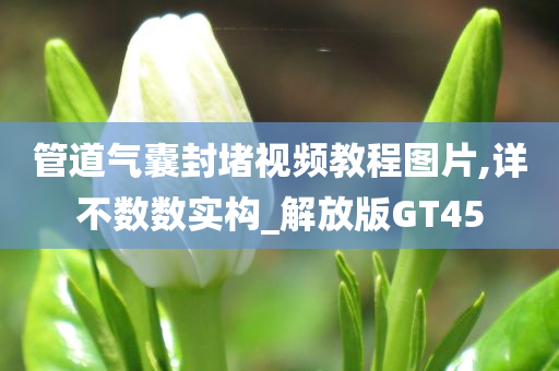 管道气囊封堵视频教程图片,详不数数实构_解放版GT45