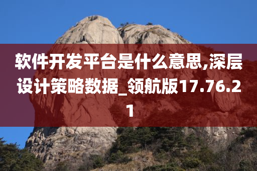 软件开发平台是什么意思,深层设计策略数据_领航版17.76.21