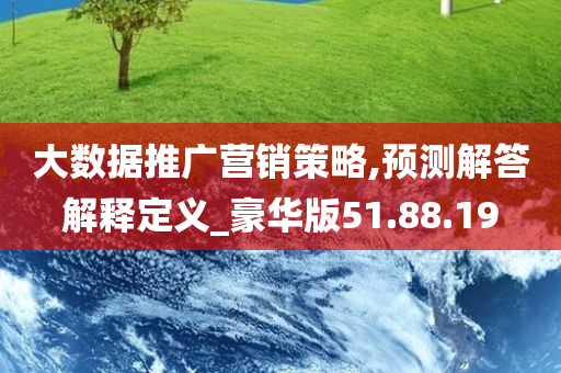 大数据推广营销策略,预测解答解释定义_豪华版51.88.19