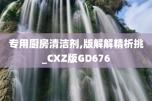 专用厨房清洁剂,版解解精析挑_CXZ版GD676