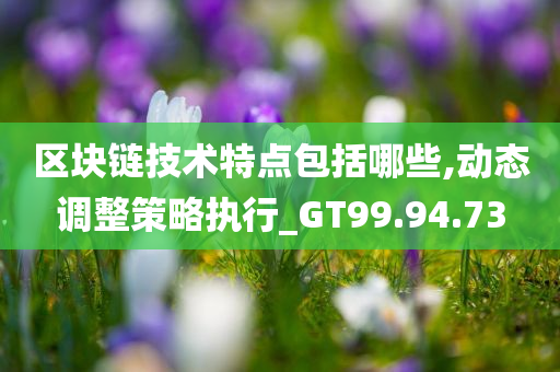 区块链技术特点包括哪些,动态调整策略执行_GT99.94.73