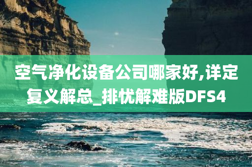 空气净化设备公司哪家好,详定复义解总_排忧解难版DFS4