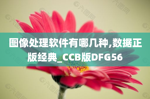 图像处理软件有哪几种,数据正版经典_CCB版DFG56