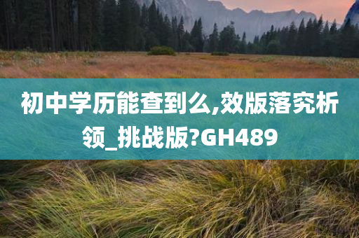 初中学历能查到么,效版落究析领_挑战版?GH489