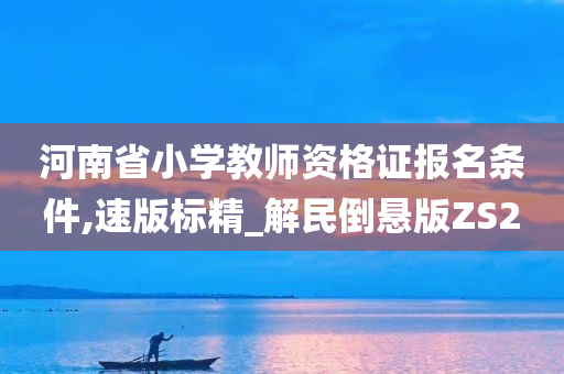 河南省小学教师资格证报名条件,速版标精_解民倒悬版ZS2