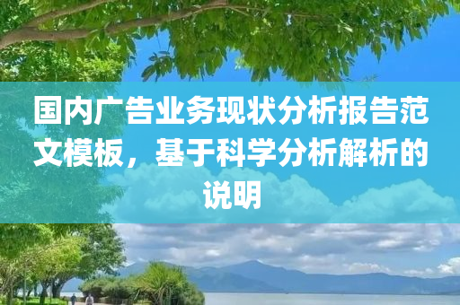 国内广告业务现状分析报告范文模板，基于科学分析解析的说明