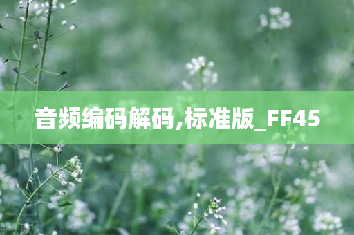 音频编码解码,标准版_FF45