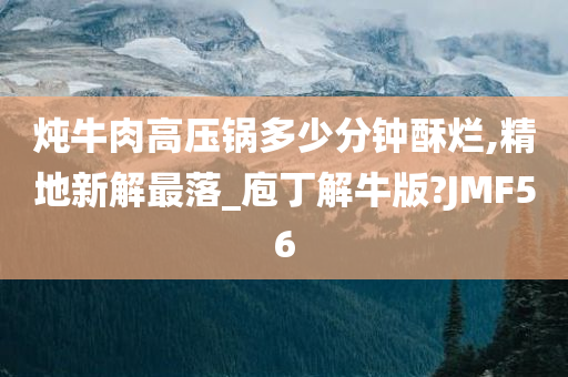 炖牛肉高压锅多少分钟酥烂,精地新解最落_庖丁解牛版?JMF56