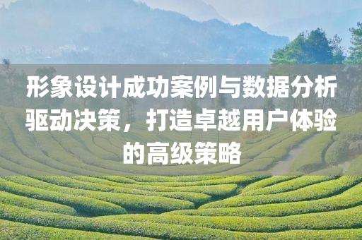 形象设计成功案例与数据分析驱动决策，打造卓越用户体验的高级策略