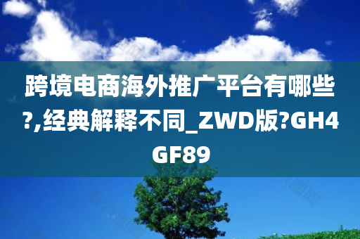 跨境电商海外推广平台有哪些?,经典解释不同_ZWD版?GH4GF89