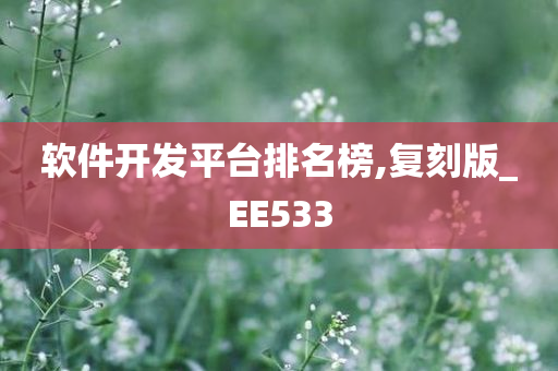 软件开发平台排名榜,复刻版_EE533