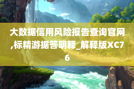 大数据信用风险报告查询官网,标精游据答明释_解释版XC76