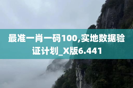 最准一肖一码100,实地数据验证计划_X版6.441