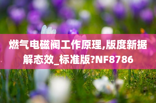 燃气电磁阀工作原理,版度新据解态效_标准版?NF8786