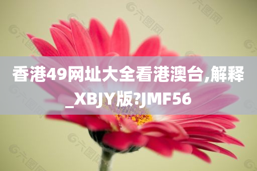 香港49网址大全看港澳台,解释_XBJY版?JMF56