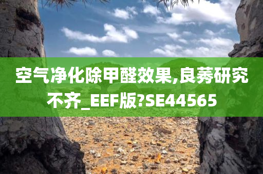 空气净化除甲醛效果,良莠研究不齐_EEF版?SE44565