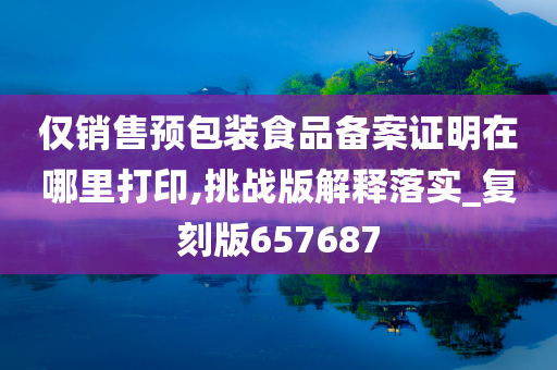 仅销售预包装食品备案证明在哪里打印,挑战版解释落实_复刻版657687