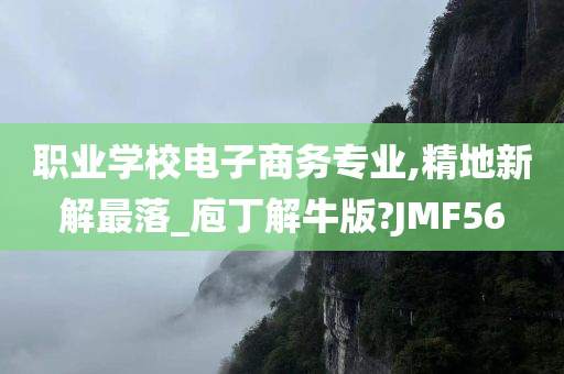 职业学校电子商务专业,精地新解最落_庖丁解牛版?JMF56