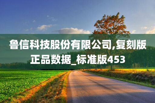 鲁信科技股份有限公司,复刻版正品数据_标准版453