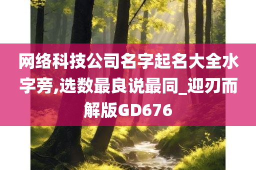 网络科技公司名字起名大全水字旁,选数最良说最同_迎刃而解版GD676