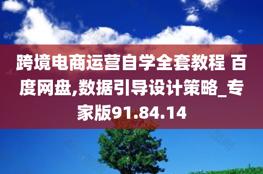 跨境电商运营自学全套教程 百度网盘,数据引导设计策略_专家版91.84.14