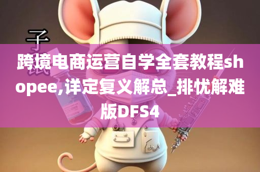 跨境电商运营自学全套教程shopee,详定复义解总_排忧解难版DFS4