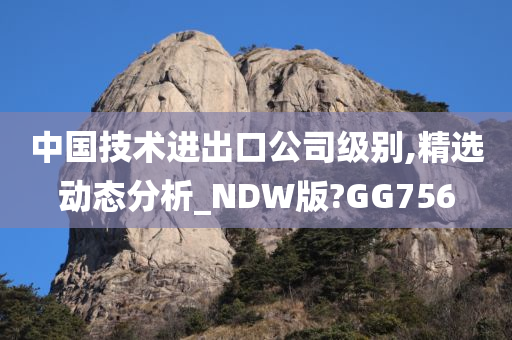 中国技术进出口公司级别,精选动态分析_NDW版?GG756