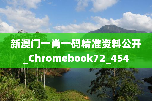 新澳门一肖一码精准资料公开_Chromebook72_454