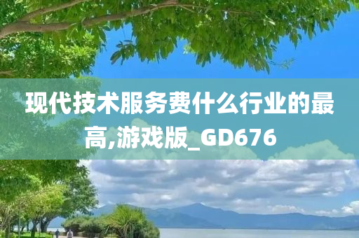 现代技术服务费什么行业的最高,游戏版_GD676