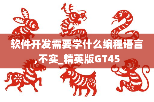 软件开发需要学什么编程语言,不实_精英版GT45