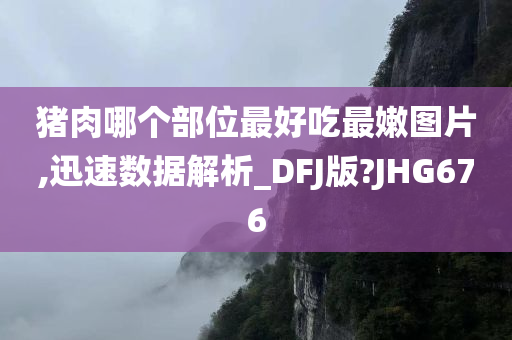 猪肉哪个部位最好吃最嫩图片,迅速数据解析_DFJ版?JHG676