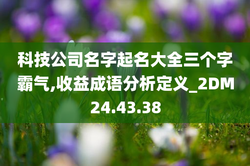 科技公司名字起名大全三个字霸气,收益成语分析定义_2DM24.43.38